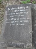 image of grave number 295042